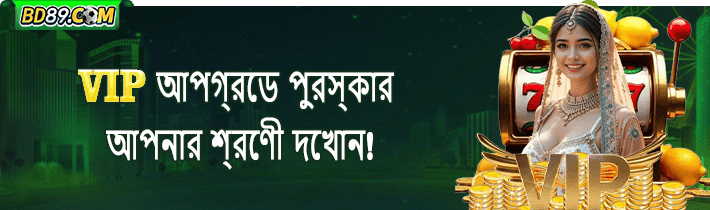 bd89 ভিআইপি সুবিধা ও সোনালী ধনভাণ্ডার থিমের চিত্র